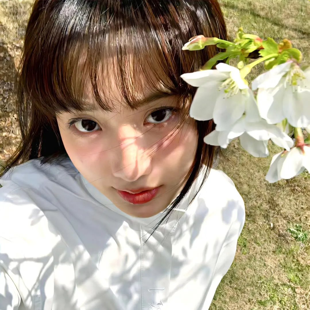 小熊的夏天 封面
